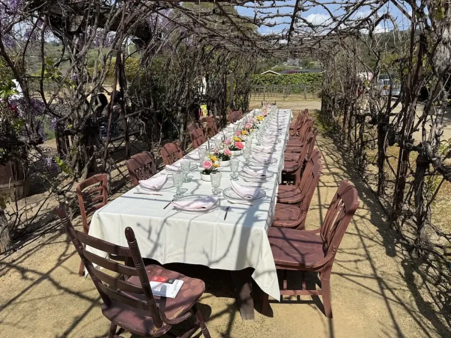 Long table set between the vines with a run of small blossom arrangements and simple settings — vineyard floral styling for Orinda catering